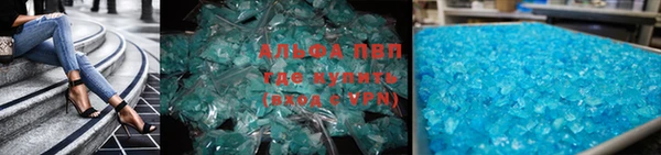 мяу мяу мука Белокуриха