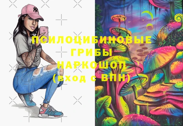 мяу мяу мука Белокуриха