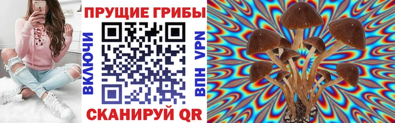 купить наркотики цена  mega ТОР  Галлюциногенные грибы ЛСД  Кувандык 